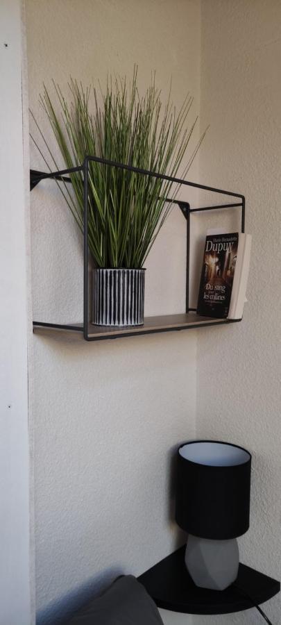 Appartement T2 A Bernex Avec Wifi, Vue Sur Montagne Εξωτερικό φωτογραφία